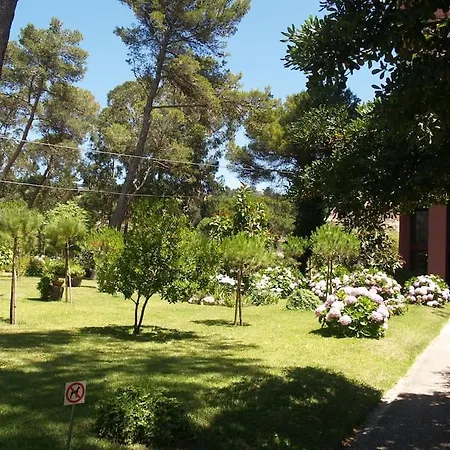 Exclusive House